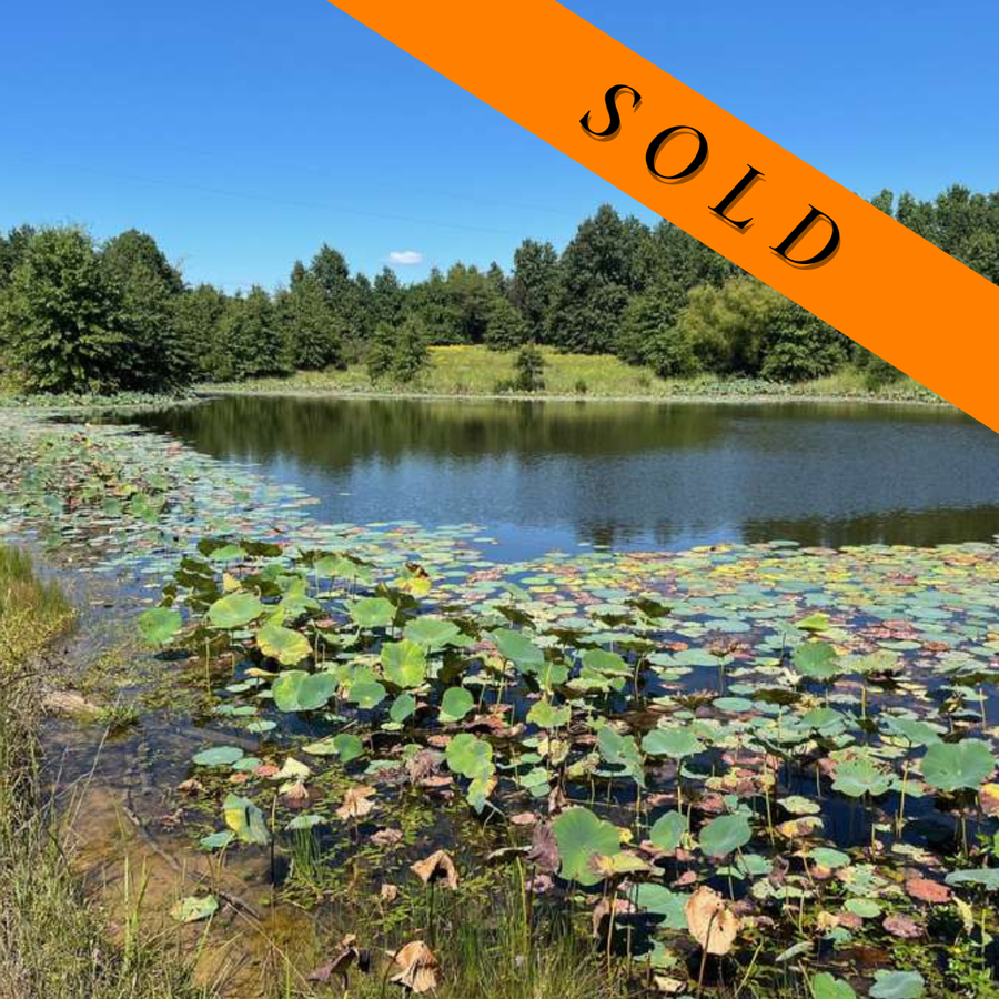 67 Acres next to Pershing State Park, MO